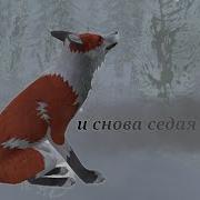 Седая Ночь Wildcraft