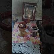 ბზობას გილოცავთ