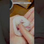 Un Petit Un Petit Un Petit