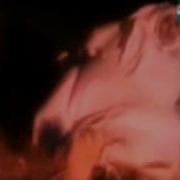 Заур Салихов Стих На Лезгинском Про Смерть