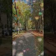 А Кукушка Кукует Наши Годы Сшитает
