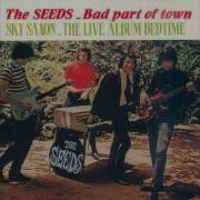 The Seeds Trouble With My Baby
