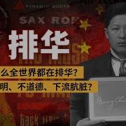 文婷 历次排华