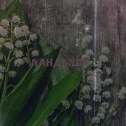 Ландыши Ivan Art Remix Extended
