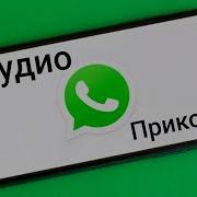Қазақша Аудио Приколдар