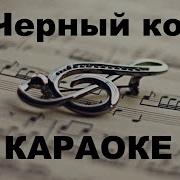 Чёрный Кот Минус
