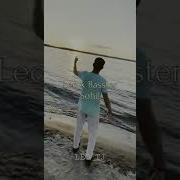Basster Сохил