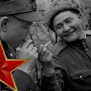Теплый Ветер Дует Развезло Дороги И На Южном Фронте Оттепель Опять