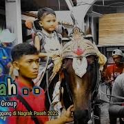 Animal Amw Bendi