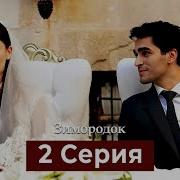 Зимородок1 Сезон 2 Серия