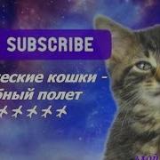 Волшебный Полет Кошки