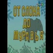 От Слона До Муровья 27
