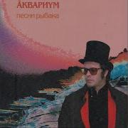 Аквариум Зимняя Роза