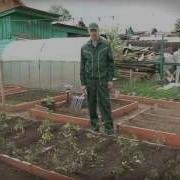 Во Саду Ли В Огороде Тивиком 2013