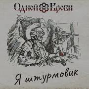 Штурмовик Одной Крови