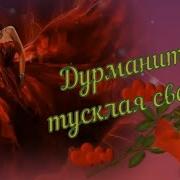 Дурманит Тусклая Свеча