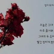 빨간의자 장미의미소