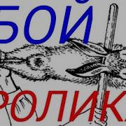 Забой 18 Как Разделать Кролика Новичку
