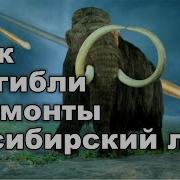 Как Погибли Мамонты