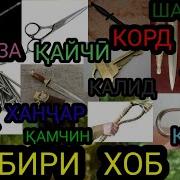 Дидани Сузан Дар Хоб