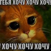 Я Хочу Смотреть Мои Пингвинчики