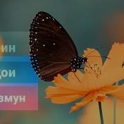 Хазинаи Ислом 2023