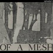 Of A Mesh C I T