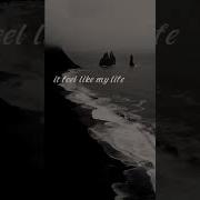 I Don T Wanna Be Alive