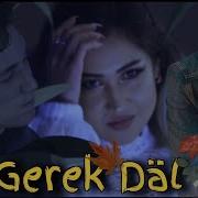 Azat Donmez Taze Aydymlar