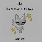 The Tortoise And The Hare Skz Sped Up