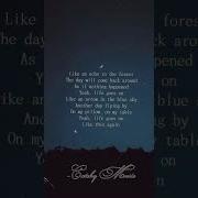 Like An Echo In The Forest