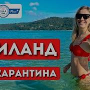 Приветствие Когда Прилетаешь В Катар