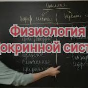 Единство Нервной И Гуморальной Регуляции