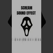 Yell Noise