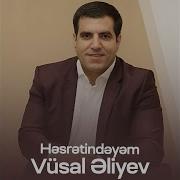 Vusal Eliyev Hesretindeyem