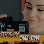 Хитобои Тала Тала