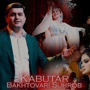 Кафтари Кокул Бизан Вой Вой
