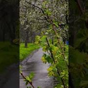 Треск Молнии Грома Танец