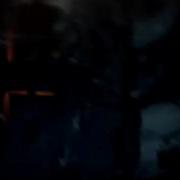 Nasheed Assassin