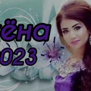 Туёна Мувофики Талаб 2023 108