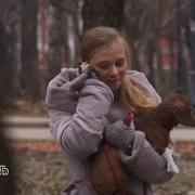 Кино Прокурорская Проверка Сезон 1