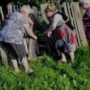 Кобяков Поспели Вишни В Саду У Дяди Вани