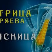 Единственная Матрица Гаряева Для Поясницы Полное Восстановление Суставов Звуком