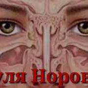 Уй Шароитида Гаймаритни Даволаш Фойдали Маслахатлар