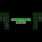 Мухамад Аллоху