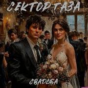 Сектор Газа Свадьба Ai Cover Голос Америки