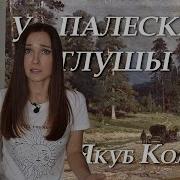 Якуб Колас На Ростанях