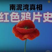 南泥湾真相 红色鸦