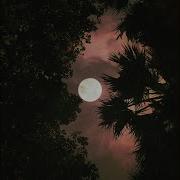 Luminae Midnight By Moonlight
