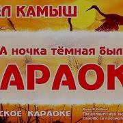 Минусовку Шумел Камыш